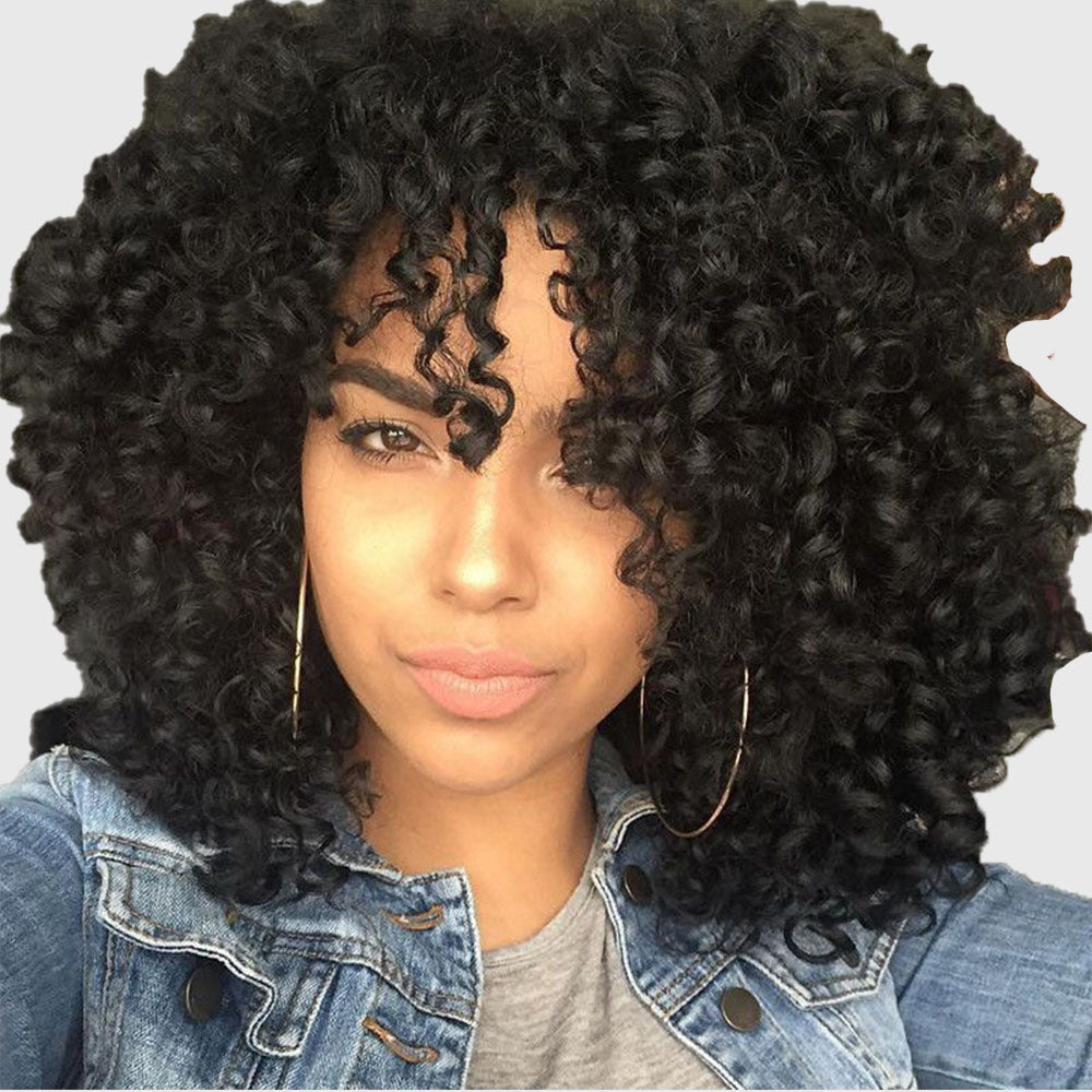 Short curly wigs store for black ladies