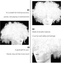 Load image into Gallery viewer, Estelle Afro Curly Clown Wig Halloween Circus Carnival Party Costume Cosplay Party Hair Wigs for Adult and Kids
